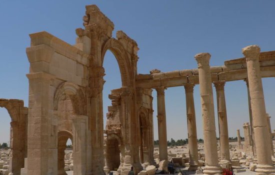 palmyra-3